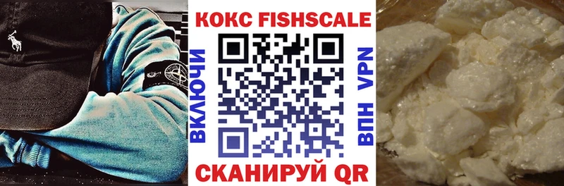 Купить закладки  Межгорье  COCAIN Fish Scale 