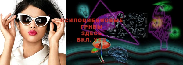 индика Елабуга