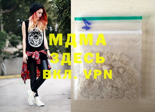 индика Елабуга