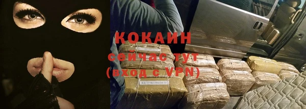 индика Елабуга