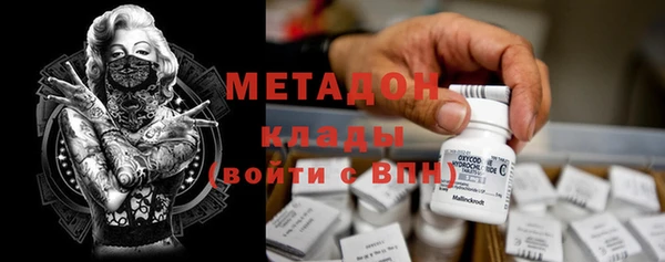 индика Елабуга