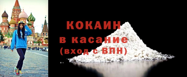 индика Елабуга