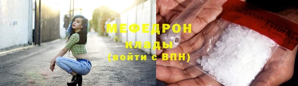 индика Елабуга