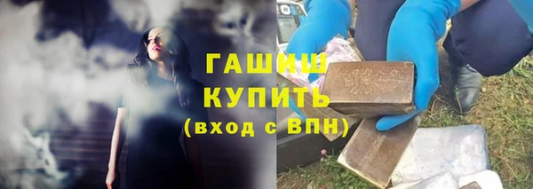 индика Елабуга