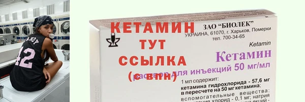 индика Елабуга