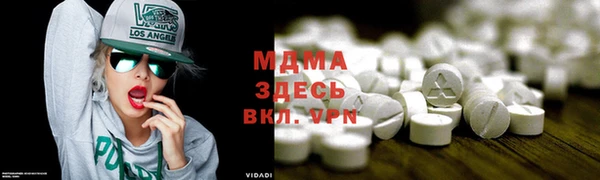индика Елабуга