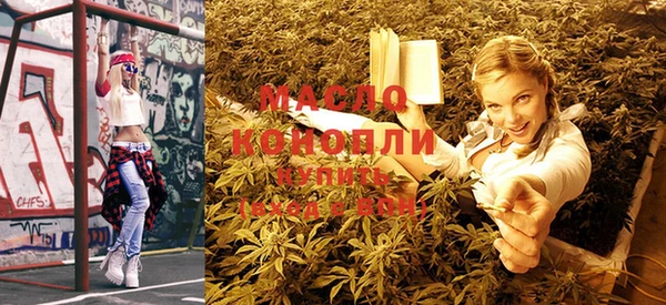 индика Елабуга