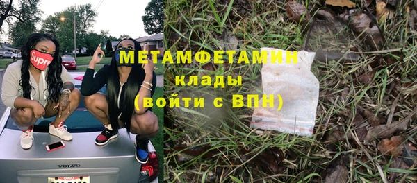 индика Елабуга