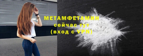 индика Елабуга