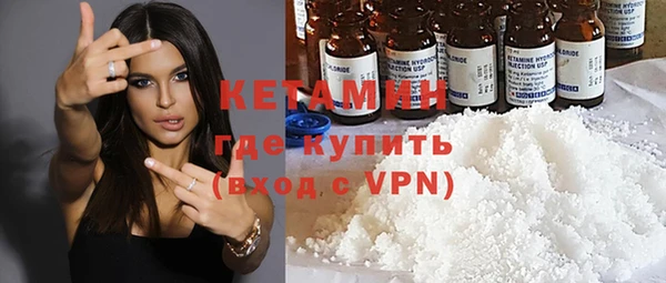 индика Елабуга