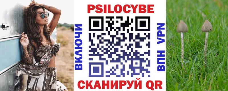 Купить закладки Межгорье Галлюциногенные грибы Psilocybe